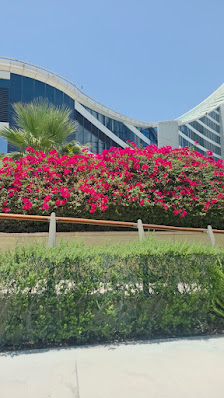 Burj Al Arab thumb 7